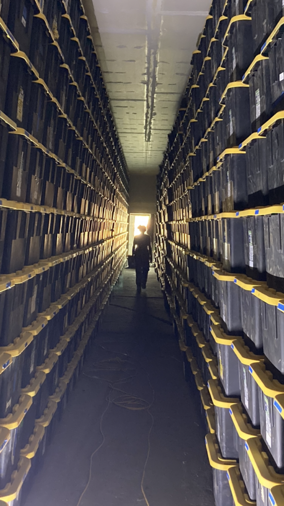 Rows of storage bins used for cannabis harvest processing and distribution preparation