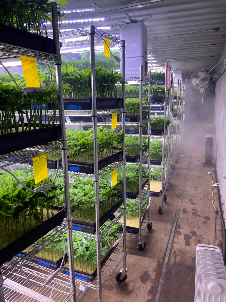 Multi-tier cannabis nursery rack system used for clone production and propagation