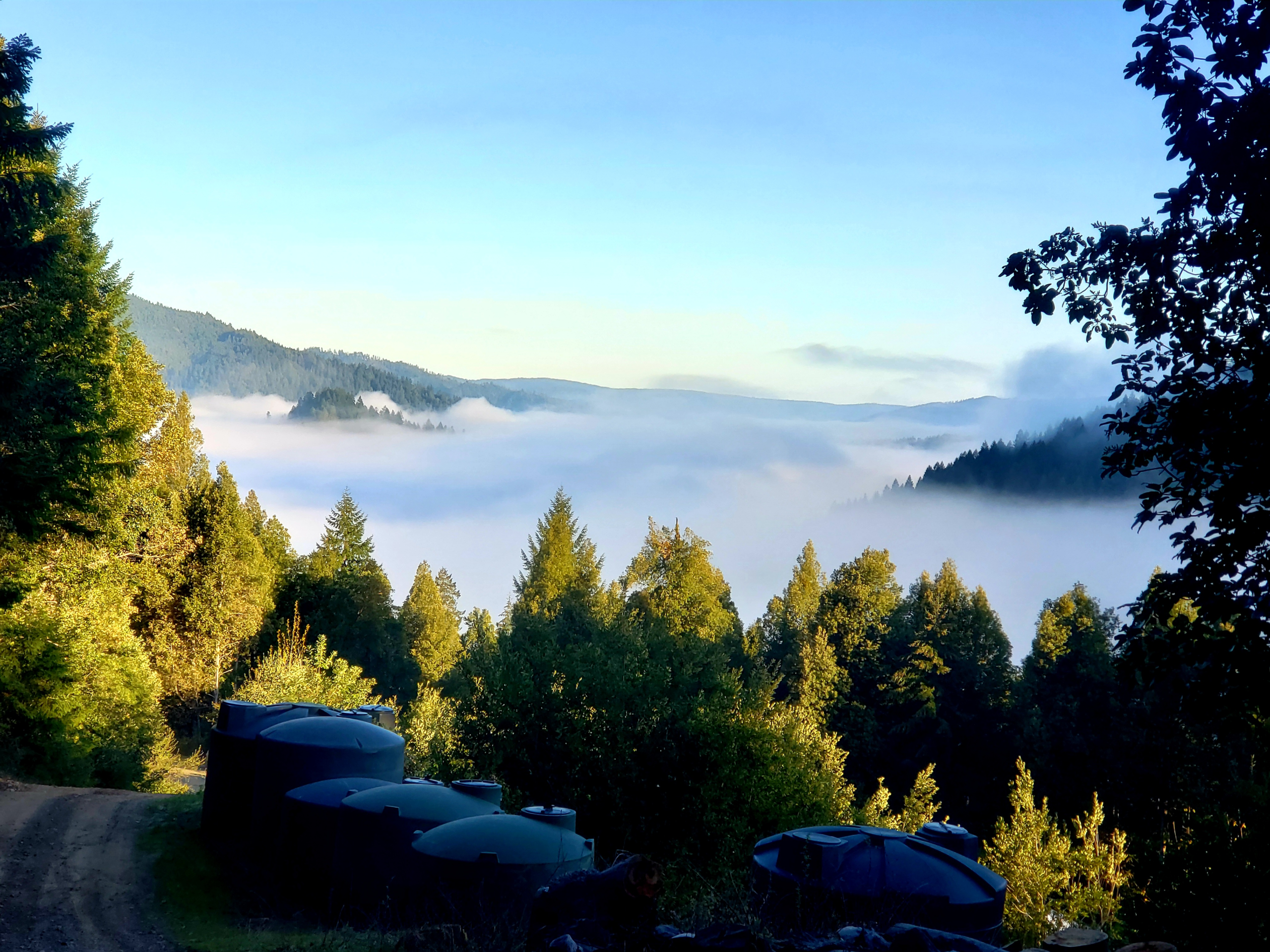 Remote mountain cannabis cultivation operation in Humboldt County